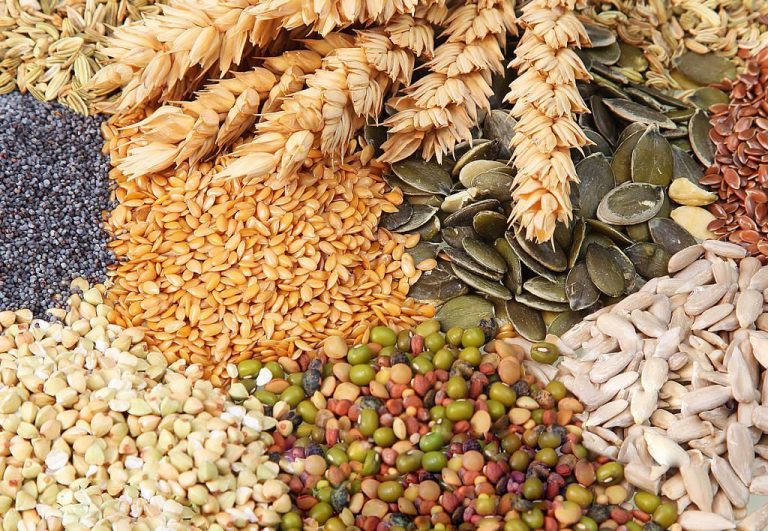 Гликемический индекс зерновых