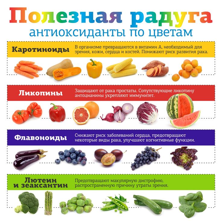 Механизм действия антиоксидантов. Справка