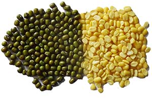 Маш / или бобы мунг